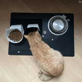 Purli-Bowl - Katzennapf für eine gesunde Nahrungsaufnahme
