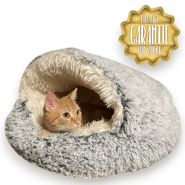 Dreamly - Plüschige Katzenhöhle für ein stressfreies Leben